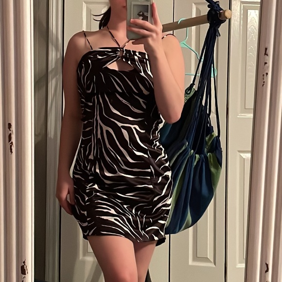 ZARA zebra dress - Picture 3 of 5